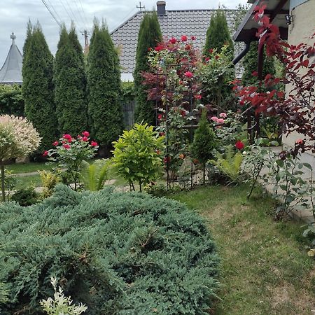 Casa Mamei Suceava Zimmer foto