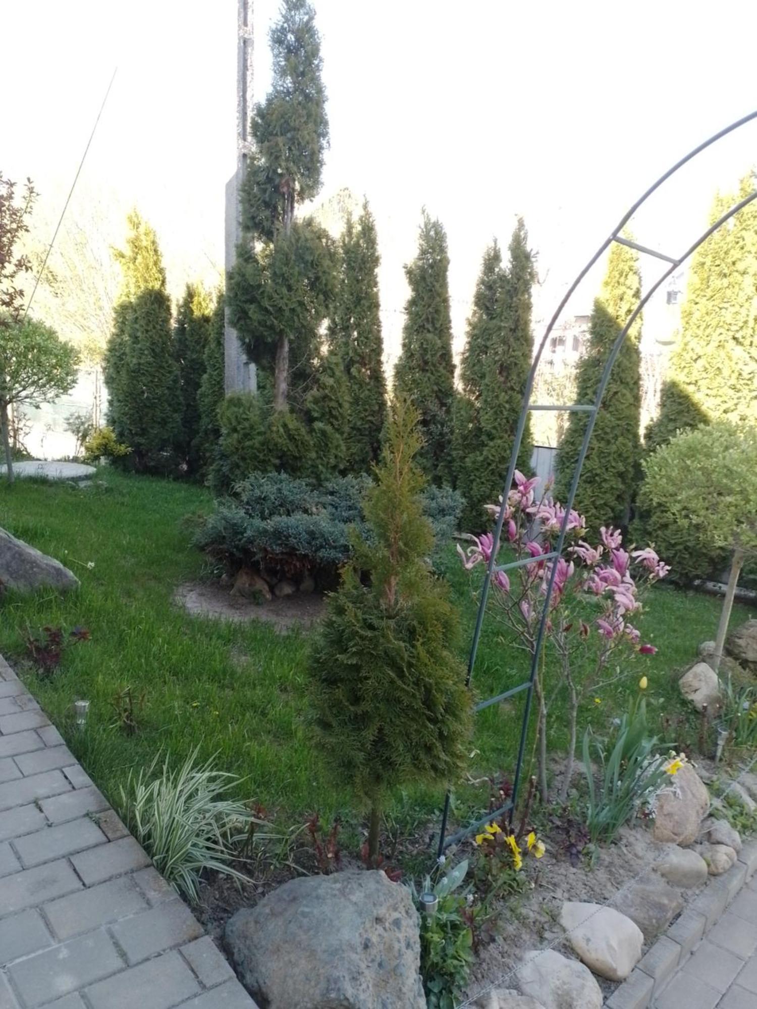 Casa Mamei Suceava Zimmer foto