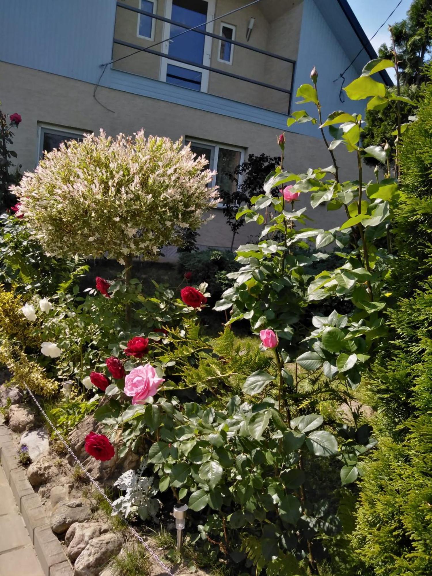 Casa Mamei Suceava Zimmer foto