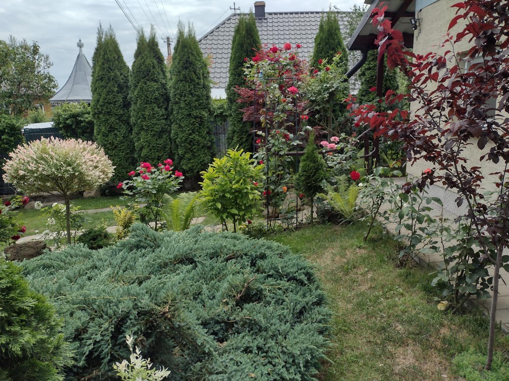 Casa Mamei Suceava Zimmer foto